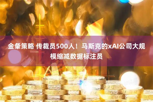 金夆策略 传裁员500人！马斯克的xAI公司大规模缩减数据标注员