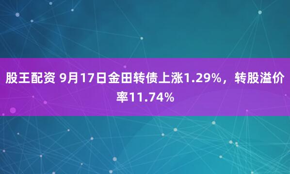 股王配资 9月17日金田转债上涨1.29%，转股溢价率11.74%