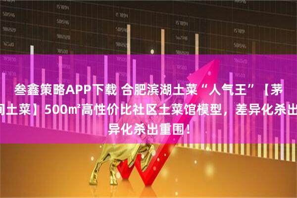 叁鑫策略APP下载 合肥滨湖土菜“人气王”【茅庐民间土菜】500㎡高性价比社区土菜馆模型，差异化杀出重围！